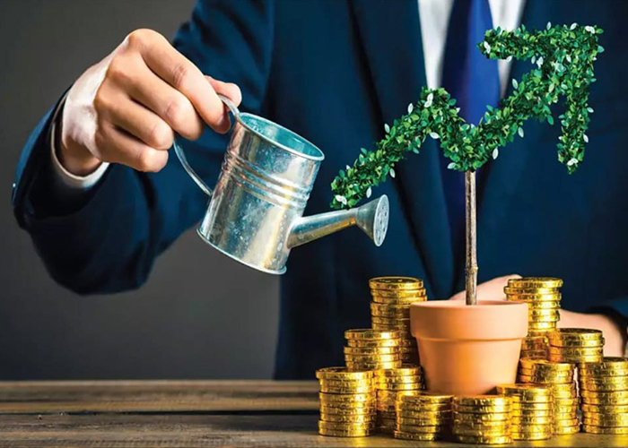 Wealth management portfolio review